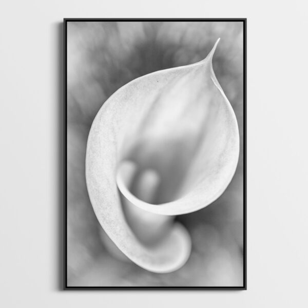 Arum 2 Sebastien Desnoulez Photographie tirage Art Une image pour rever caisse americaine