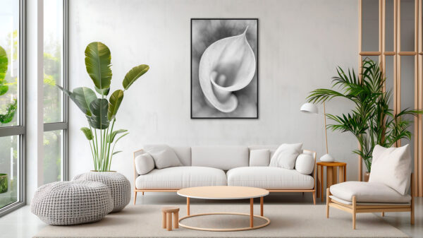 Arum 2 Sebastien Desnoulez Photographie tirage Art Une image pour rever caisse americaine en situation