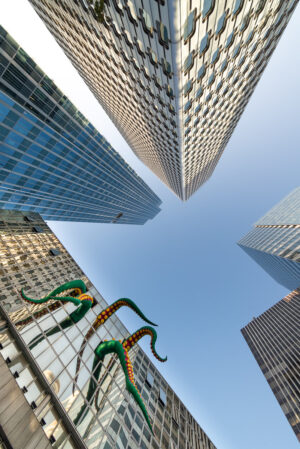 Attaque de poulpe Sebastien Desnoulez Photographie tirage Art Une image pour rever caisse americaine