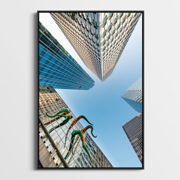 Attaque de poulpe Sebastien Desnoulez Photographie tirage Art Une image pour rever caisse americaine