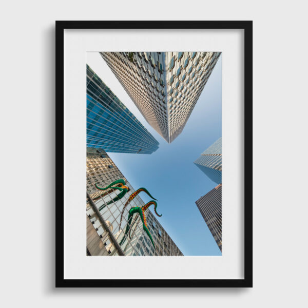 Attaque de poulpe Sebastien Desnoulez Photographie tirage Art Une image pour rever passe partout