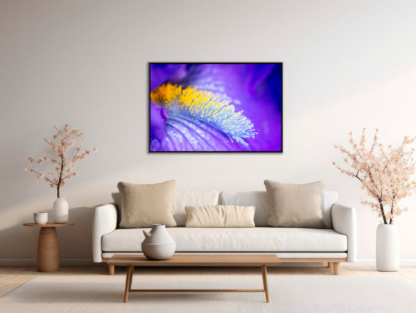 Pistils d iris Sebastien Desnoulez Photographie tirage Art Une image pour rever caisse americaine en situation