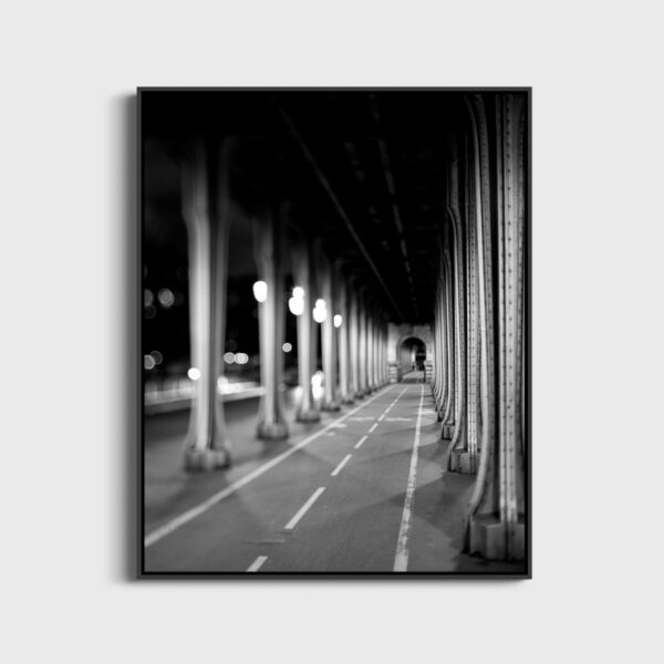 Bir Hakeim Bridge - Image 3