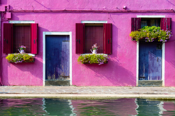 Rose fuchsia Sebastien Desnoulez Photographie tirage Art Une image pour rever