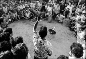 combat de coqs Sebastien Desnoulez Photographie tirage Art Une image pour rever
