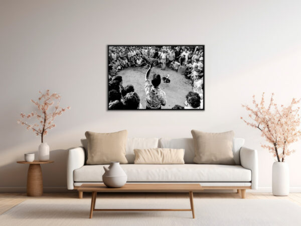 combat de coqs Sebastien Desnoulez Photographie tirage Art Une image pour rever caisse americaine en situation