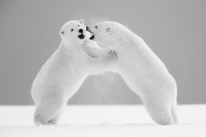 Arrete de crier Lionel Maye Photographie tirage Art Une image pour rever