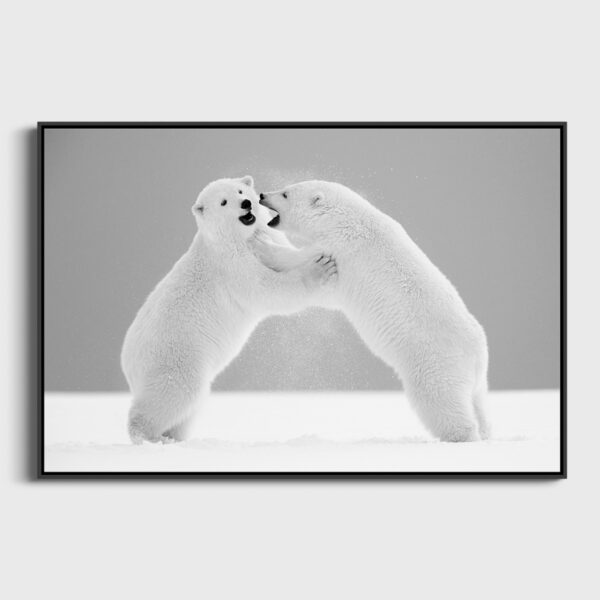 Arrete de crier Lionel Maye Photographie tirage Art Une image pour rever caisse americaine