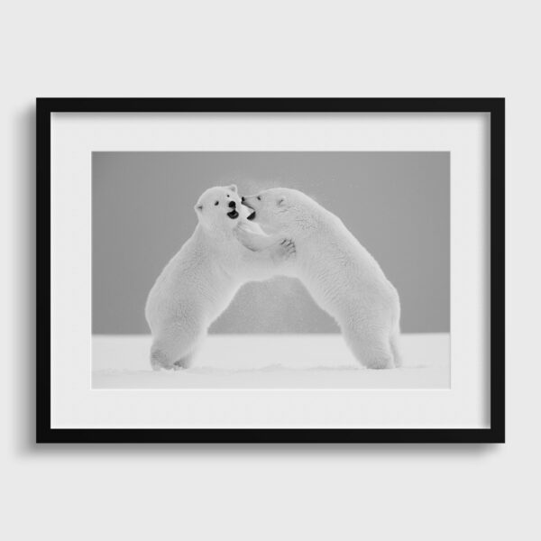 Arrete de crier Lionel Maye Photographie tirage Art Une image pour rever passe partout