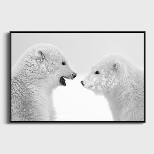 Discussion Lionel Maye Photographie tirage Art Une image pour rever caisse americaine
