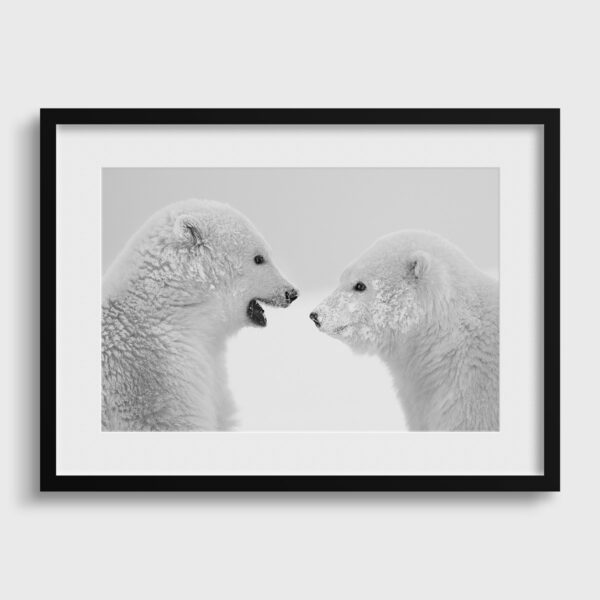 Discussion Lionel Maye Photographie tirage Art Une image pour rever passe partout