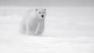 En route pour l aventure Lionel Maye Photographie tirage Art Une image pour rever