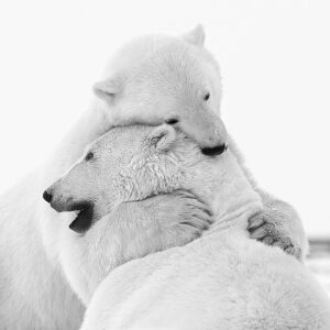 Etreinte fraternelle Lionel Maye Photographie tirage Art Une image pour rever