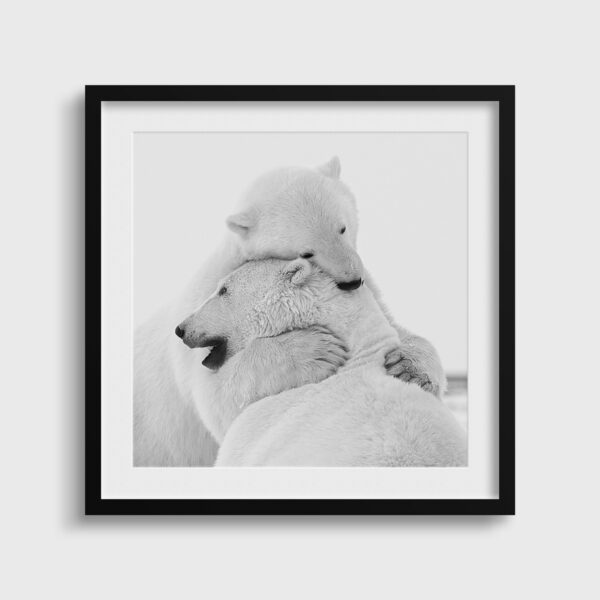 Etreinte fraternelle Lionel Maye Photographie tirage Art Une image pour rever passe partout