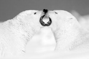 Haleine fraiche Lionel Maye Photographie tirage Art Une image pour rever