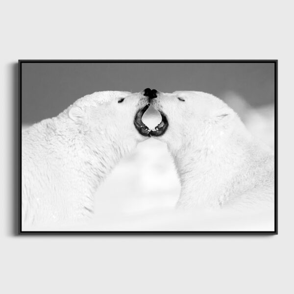 Polar Bear - Fresh breath - Image 3