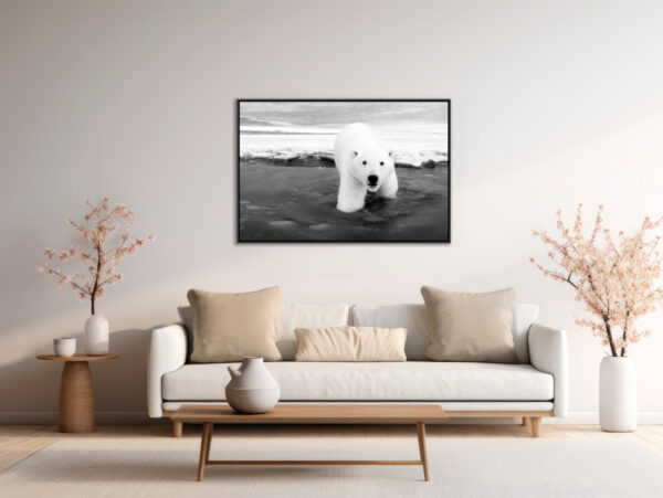 Le curieux Lionel Maye Photographie tirage Art Une image pour rever caisse americaine en situation