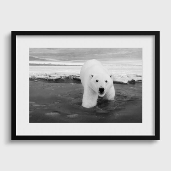 Le curieux Lionel Maye Photographie tirage Art Une image pour rever passe partout