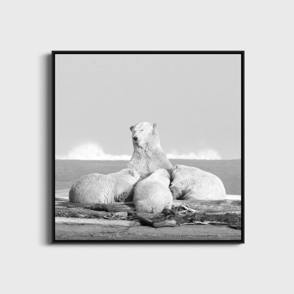 Maman comblee Lionel Maye Photographie tirage Art Une image pour rever caisse americaine