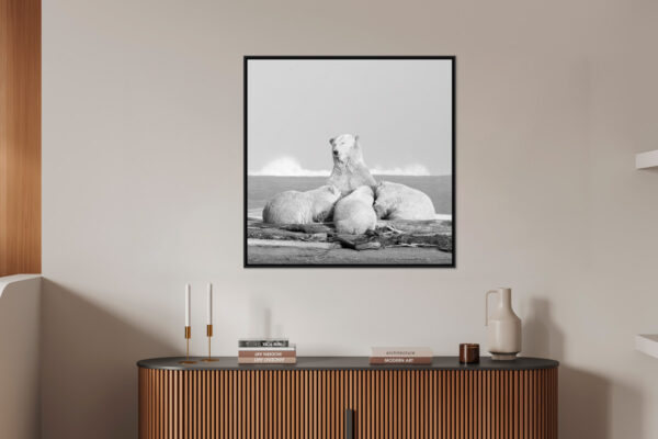 Maman comblee Lionel Maye Photographie tirage Art Une image pour rever caisse americaine en situation