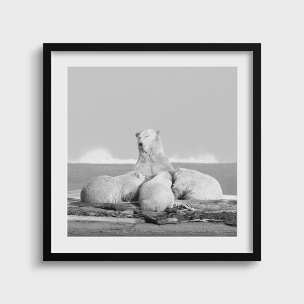 Maman comblee Lionel Maye Photographie tirage Art Une image pour rever passe partout