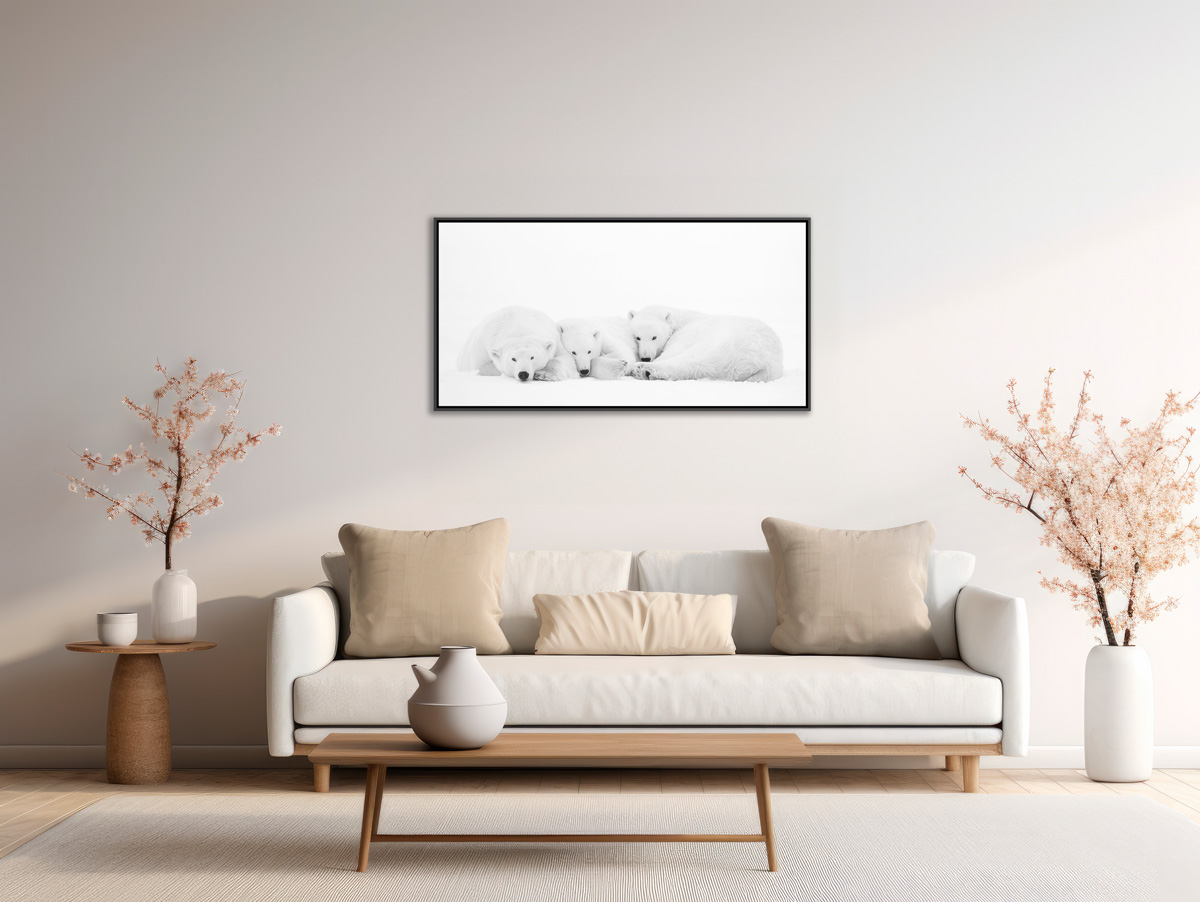 Petite sieste Lionel Maye Photographie tirage Art Une image pour rever caisse americaine en situation