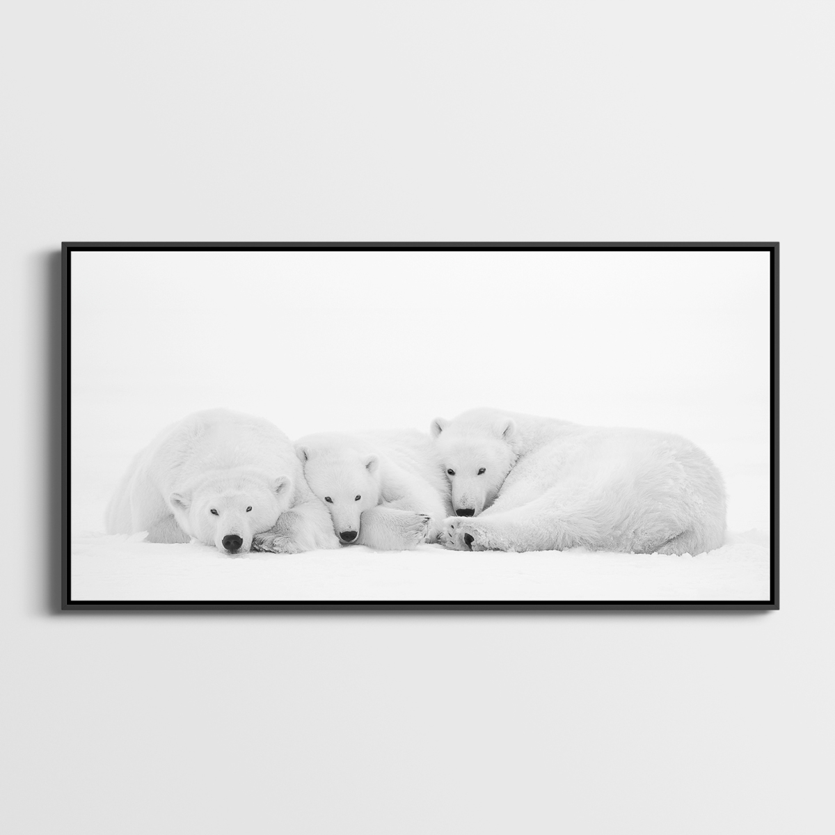 Petite sieste Lionel Maye Photographie tirage Art Une image pour rever caisse americaine