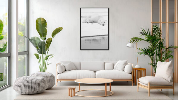 Restons calme Lionel Maye Photographie tirage Art Une image pour rever caisse americaine en situation