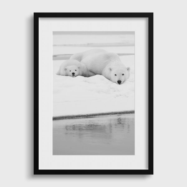 Restons calme Lionel Maye Photographie tirage Art Une image pour rever passe partout