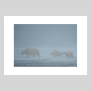 Dans la tourmente Lionel Maye Photographie tirage Art Une image pour rever sur fond