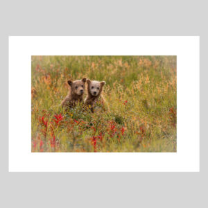 Innocence Lionel Maye Photographie tirage Art Une image pour rever sur fond