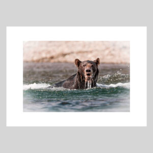 Le boss Lionel Maye Photographie tirage Art Une image pour rever sur fond