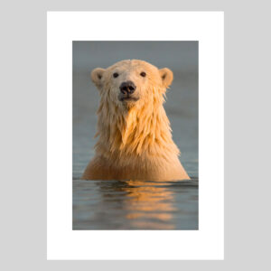 Sentinelle Lionel Maye Photographie tirage Art Une image pour rever sur fond