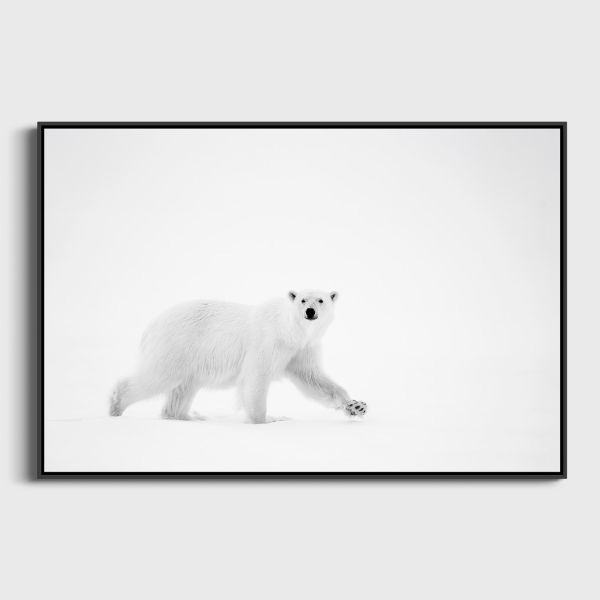 Arpenteur des Neiges Lionel Maye  - Tirage photographique d'art - Photographie d'art - Une image pour rêver caisse americaine