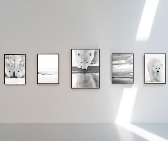 Créer un mur galerie : disposer plusieurs photographies d'art pour un impact visuel maximal