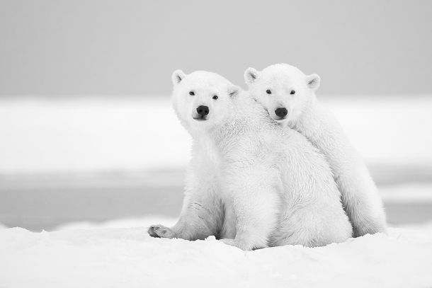 Amour fraternel Lionel Maye - Tirage photographique d'art - Photographie d'art - Une image pour rêver