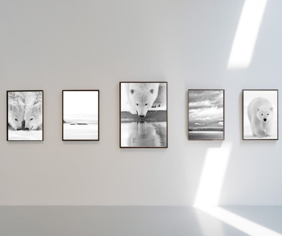 Créer un mur galerie : disposer plusieurs photographies d'art pour un impact visuel maximal