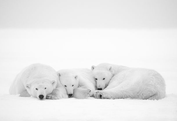 Petite sieste Lionel Maye - Tirage photographique d'art - Photographie d'art - Une image pour rêver