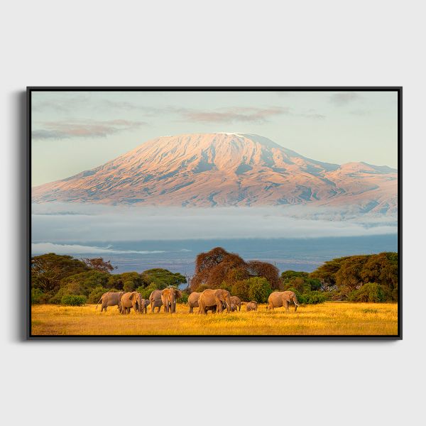 Elephants et Kilimandjaro Lionel Maye  - Tirage photographique d'art - Photographie d'art - Une image pour rêver caisse americaine
