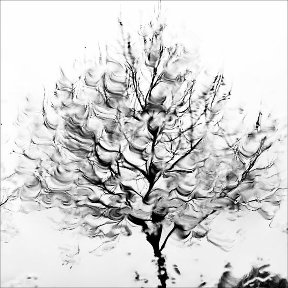 Houle Eleonore Mehl - Tirage photographique d'art - Photographie d'art - Une image pour rêver